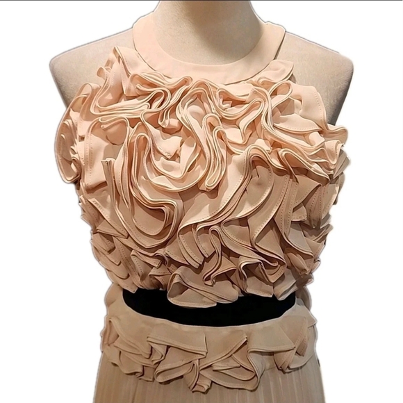 BCBGMaxAzria Cream Midi Skirt - Picture 4 of 9